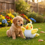 Jack and Vanilla product voor honden, geel, 18 cm