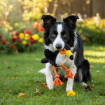 Jack and Vanilla product voor honden, zwart, 28 cm