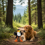 Jack and Vanilla product voor honden, zwart, 28 cm