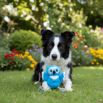 Jack and Vanilla product voor honden, blauw, 28 cm