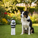 Jack and Vanilla product voor honden, wit, 30 cm