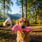 Jack and Vanilla product voor honden, roze, 24 cm