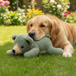 Jack and Vanilla product voor honden, groen, 27 cm