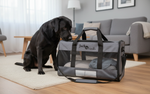 Jack and Vanilla draagtas voor honden en katten