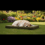 Jack and Vanilla transportbox voor honden, groen