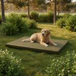 Jack and Vanilla transportbox voor honden, groen