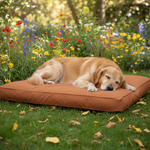 Jack and Vanilla product voor honden