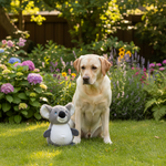 Jack and Vanilla pluche knuffel voor honden