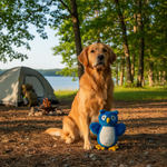 Jack and Vanilla pluche knuffel voor honden