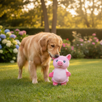 Jack and Vanilla pluche knuffel voor honden