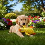 Jack and Vanilla speeltje voor honden