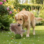 Jack and Vanilla speeltje voor katten, bruin