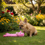 Jack and Vanilla pluche knuffel voor honden, roze