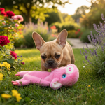 Jack and Vanilla pluche knuffel voor honden, roze