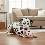 Jack and Vanilla pluche knuffel voor honden, wit