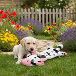 Jack and Vanilla pluche knuffel voor honden, wit