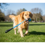 Jack and Vanilla speeltje voor honden