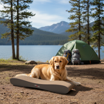 5415251099997_23.jpg