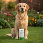 Petsafe product voor honden