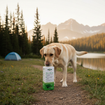 Petsafe product voor honden