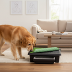 Petsafe product voor honden