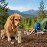 Petsafe product voor katten