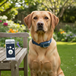 Petsafe product voor honden