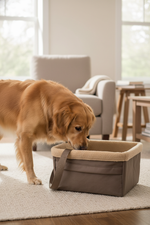 Petsafe product voor honden