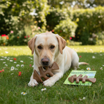 Benebone product voor honden
