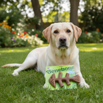 Benebone product voor honden