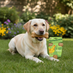 Benebone kauwstick voor honden