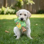 Benebone kauwstick voor honden