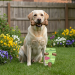 Benebone kauwstick voor honden