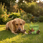 Benebone kauwstick voor honden