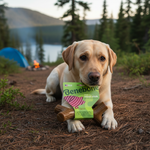 Benebone product voor honden
