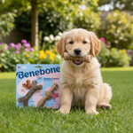 Benebone product voor honden