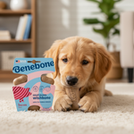 Benebone kauwstick voor honden