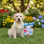 Benebone kauwstick voor honden
