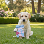 Benebone kauwstick voor honden