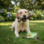 Benebone kauwstick voor honden