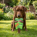 Benebone kauwstick voor honden