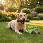 Benebone product voor honden