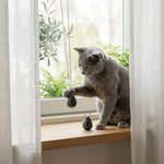 980ML_01.webp