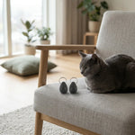 980ML_03.webp