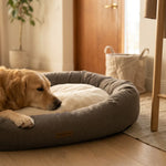 AB10723_02.webp