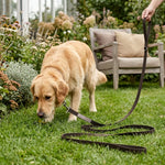 AB30555_01.webp