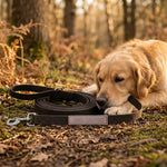 AB30555_02.webp