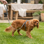AB30614_01.webp