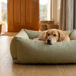 ANSO2150_02.webp