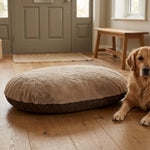 BODOC1860_02.webp